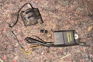 Selettra malossi am6