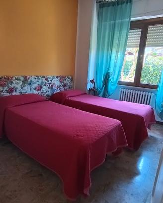 Trilo dog friendly - last minute