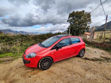 fiat punto 
