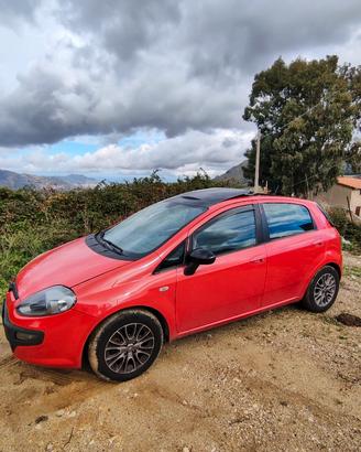 fiat punto 
