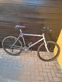 Mountain bike Atala 