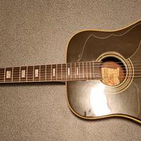 Chitarra baritona da EKO E20 XII