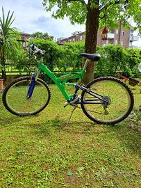 bicicletta