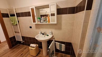 Lavabo + rubinetto Grohe + armadietto con luce.