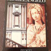 Cofanetto 3 libri Michelangelo-pittore, architetto