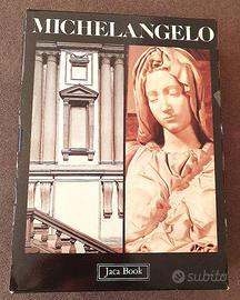 Cofanetto 3 libri Michelangelo-pittore, architetto