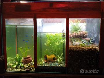 acquario tropicale 3 zone lago fiume stagno 150L