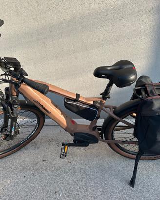 Bici elettrica Lombardo Roma 9.5