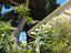 Immagine 26