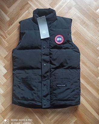 Smanicato canada goose