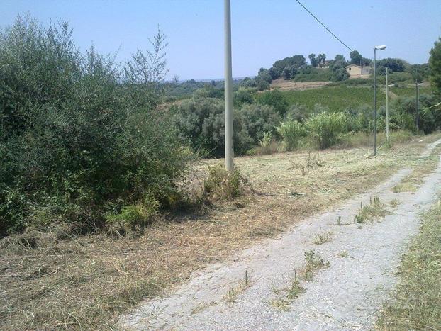 Agricolo a Siracusa - Strada per Floridia Tremilia