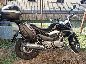 Suzuki Inazuma 250