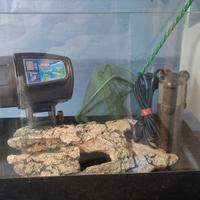 piccolo acquario completo 