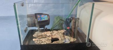 piccolo acquario completo 