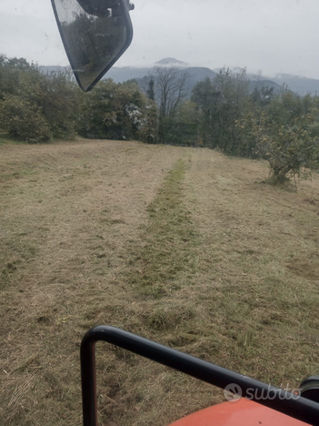 Terreno agricolo e bosco con casa da ristrutturare