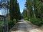 Immagine 21