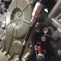 Tubo bulbo P Oil Ducati Panigale v2