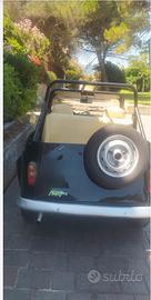 Renault 4 FROG