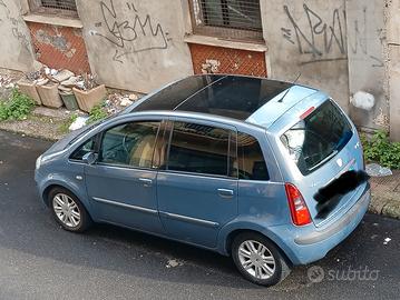  Lancia musa 