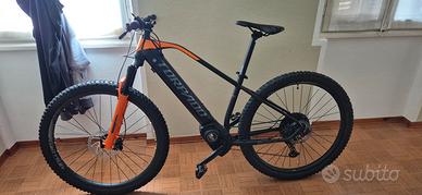 bicicletta torpado 
