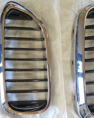 Mascherina anteriore Bmw Serie 5 G31