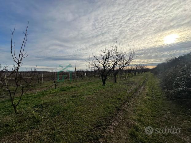 Terreno a Colognola ai Colli (VR) - San Zeno