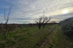 Terreno a Colognola ai Colli (VR) - San Zeno