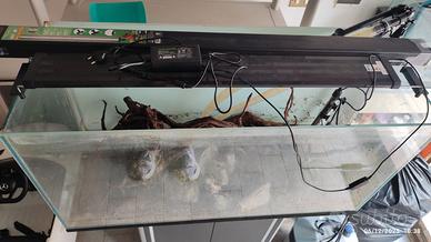 Acquario 200lt