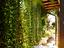 Immagine 19