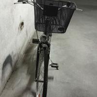 Bici da donna