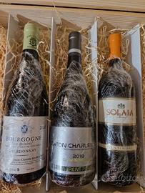 Bottiglie Vino 