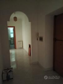 Privato affitta appartamento