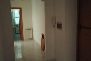 Privato affitta appartamento