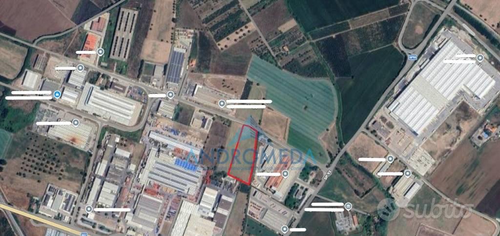 Terreno di 13260 m² a Pignataro Maggiore - Vista 2