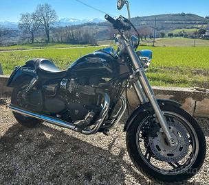 Triumph speedmaster 800