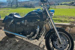 Triumph speedmaster 800