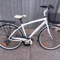 Bicicletta  CityBike da Uomo 