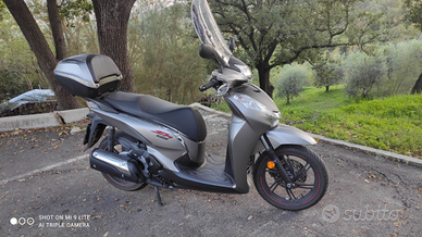 Honda sh 300 sport