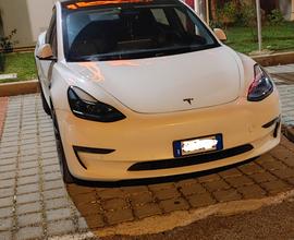 TESLA Model 3 performance - 2021