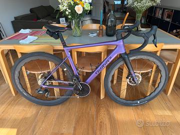 Wilier Rave ID1