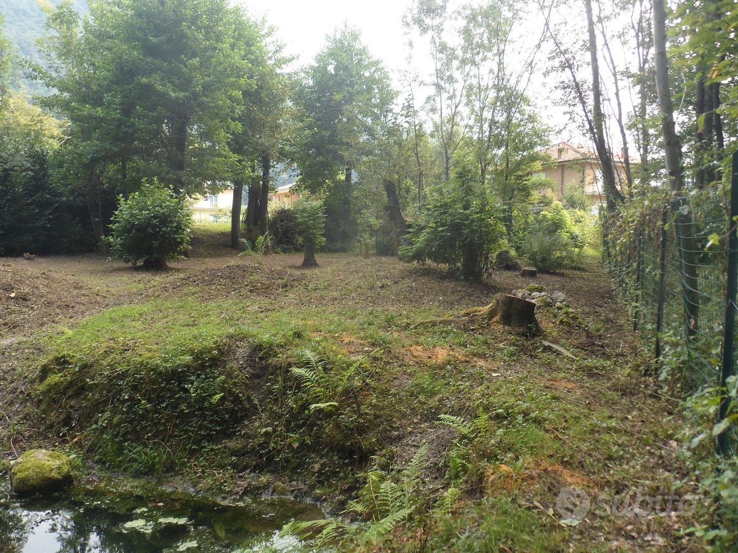 Edificabile comm/art/res. con altri 1100mq bosco - Vista 5