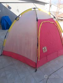 tenda igloo