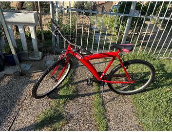 Bicicletta