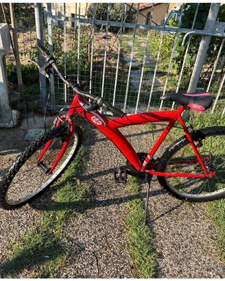 Bicicletta