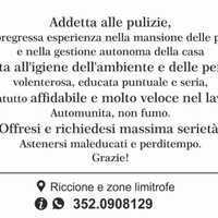 Addetta alla pulizie