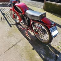 Morini 175 Settebello