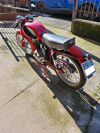 Morini 175 Settebello