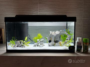 Acquario TETRA STARTER LINE LED 54 LITRI