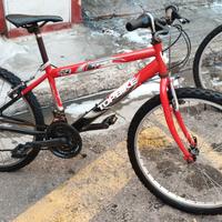 Top bike 24