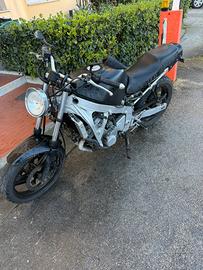 Honda CBR pc (23) ASI